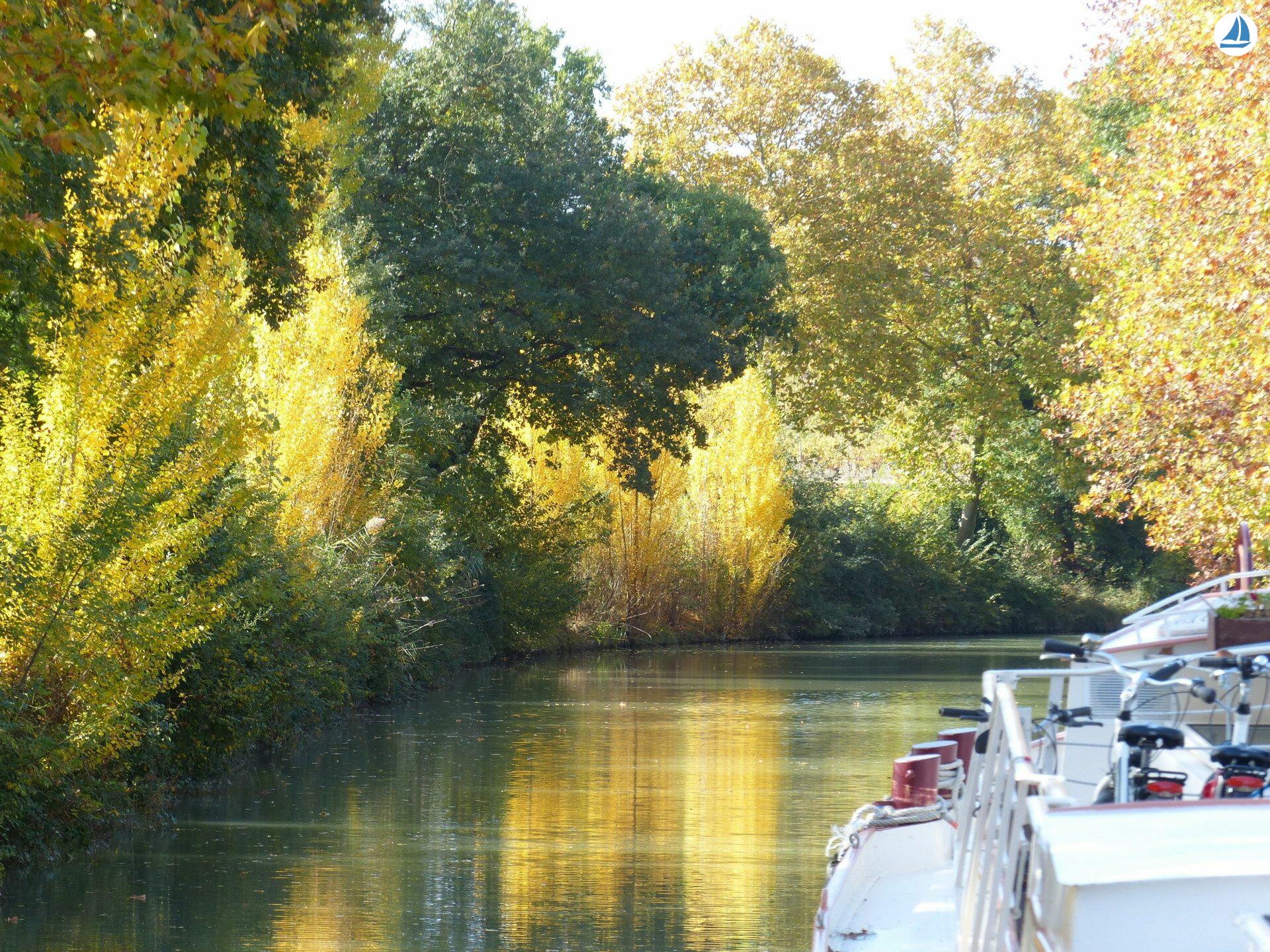 foto Clipper 1894 10