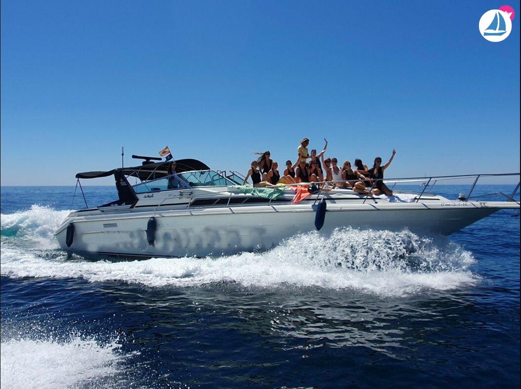 foto Sea Ray 440 Sea ray, dolphin watching 2