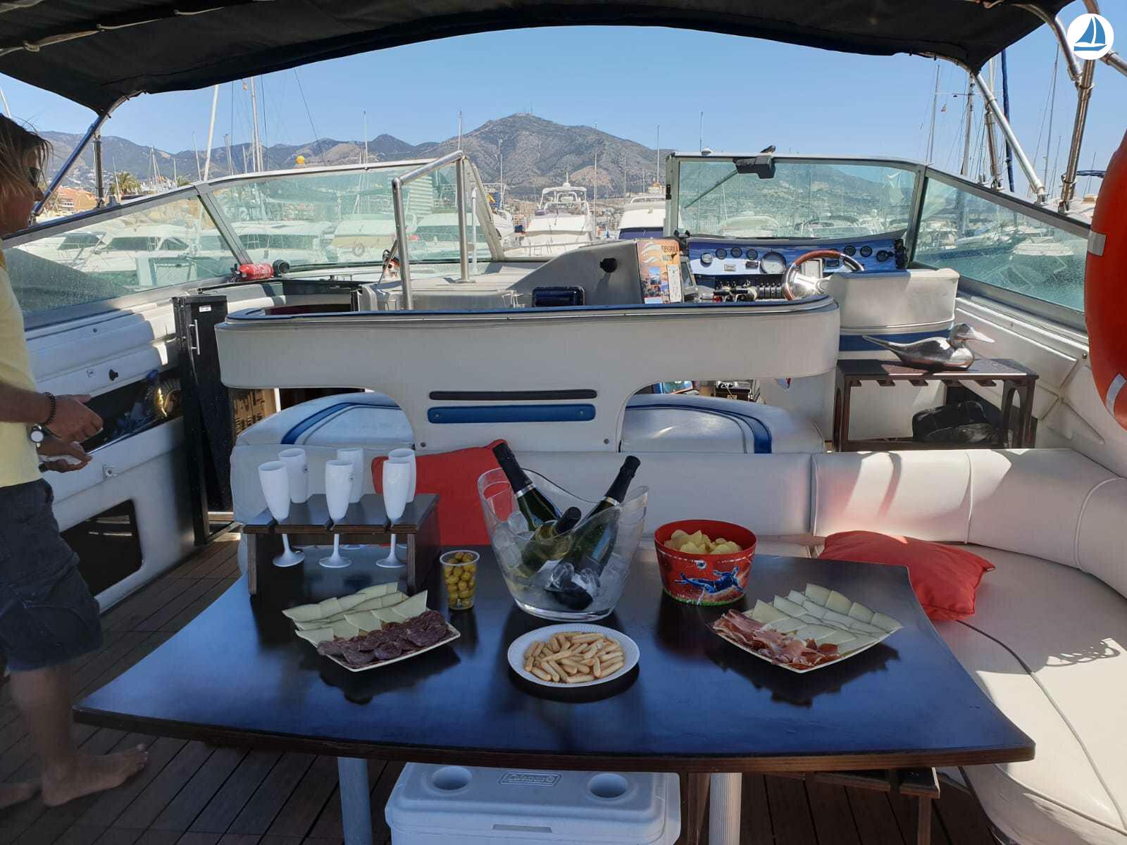 foto Sea Ray 440 Sea ray, dolphin watching 3