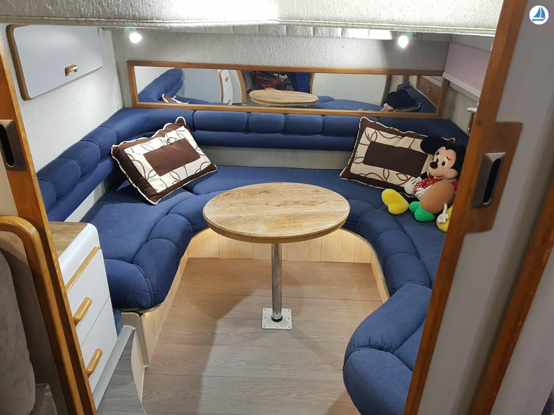 foto Sea Ray 440 Sea ray, dolphin watching 8