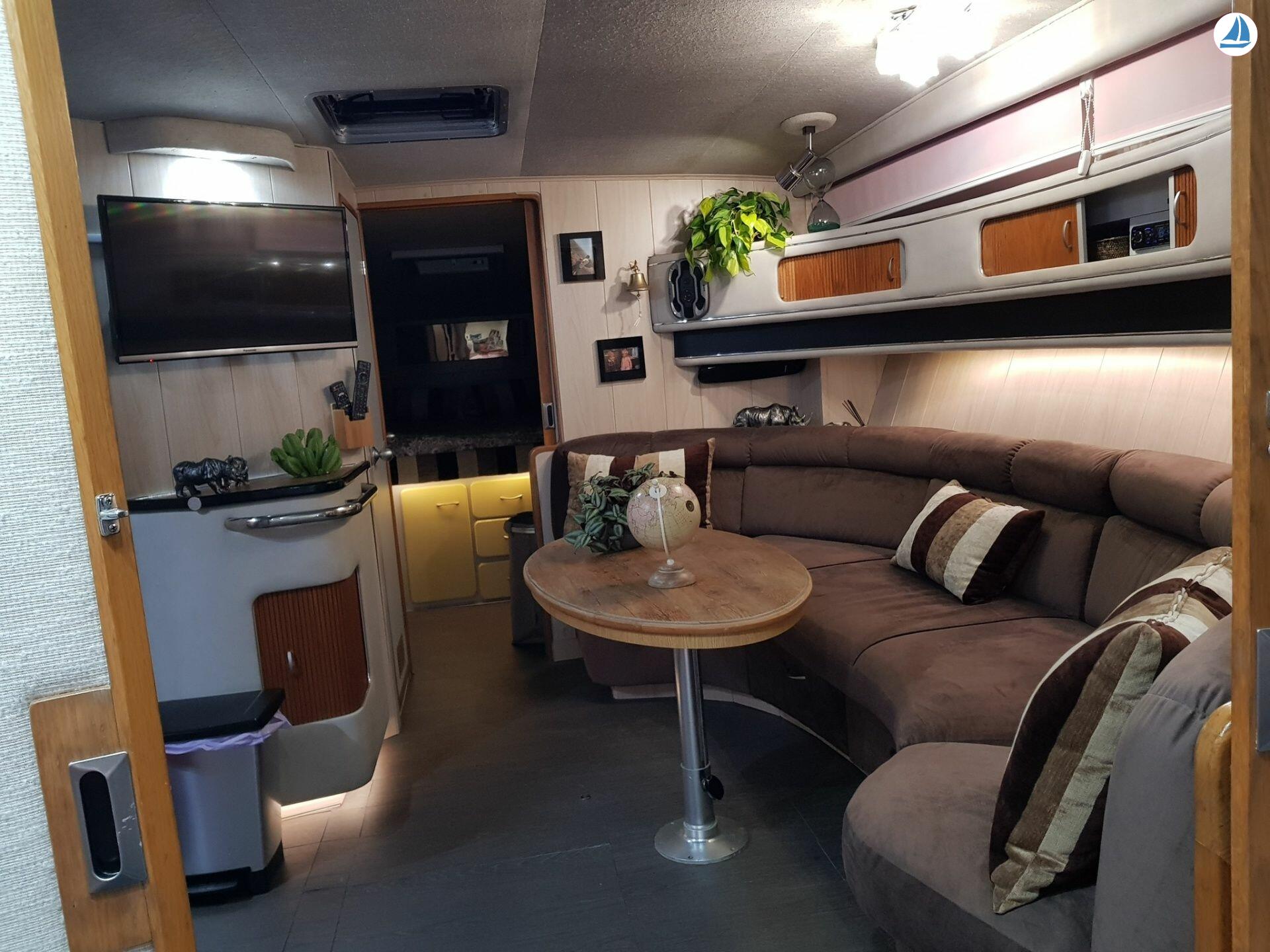 foto Sea Ray 440 Sea ray, dolphin watching 9