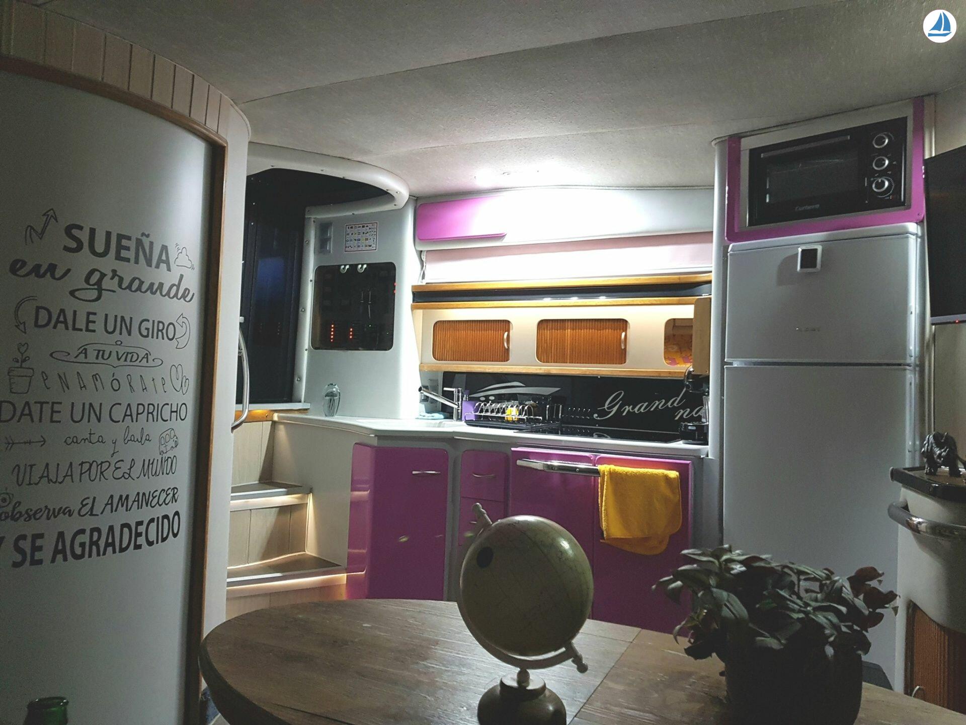 foto Sea Ray 440 Sea ray, dolphin watching 10