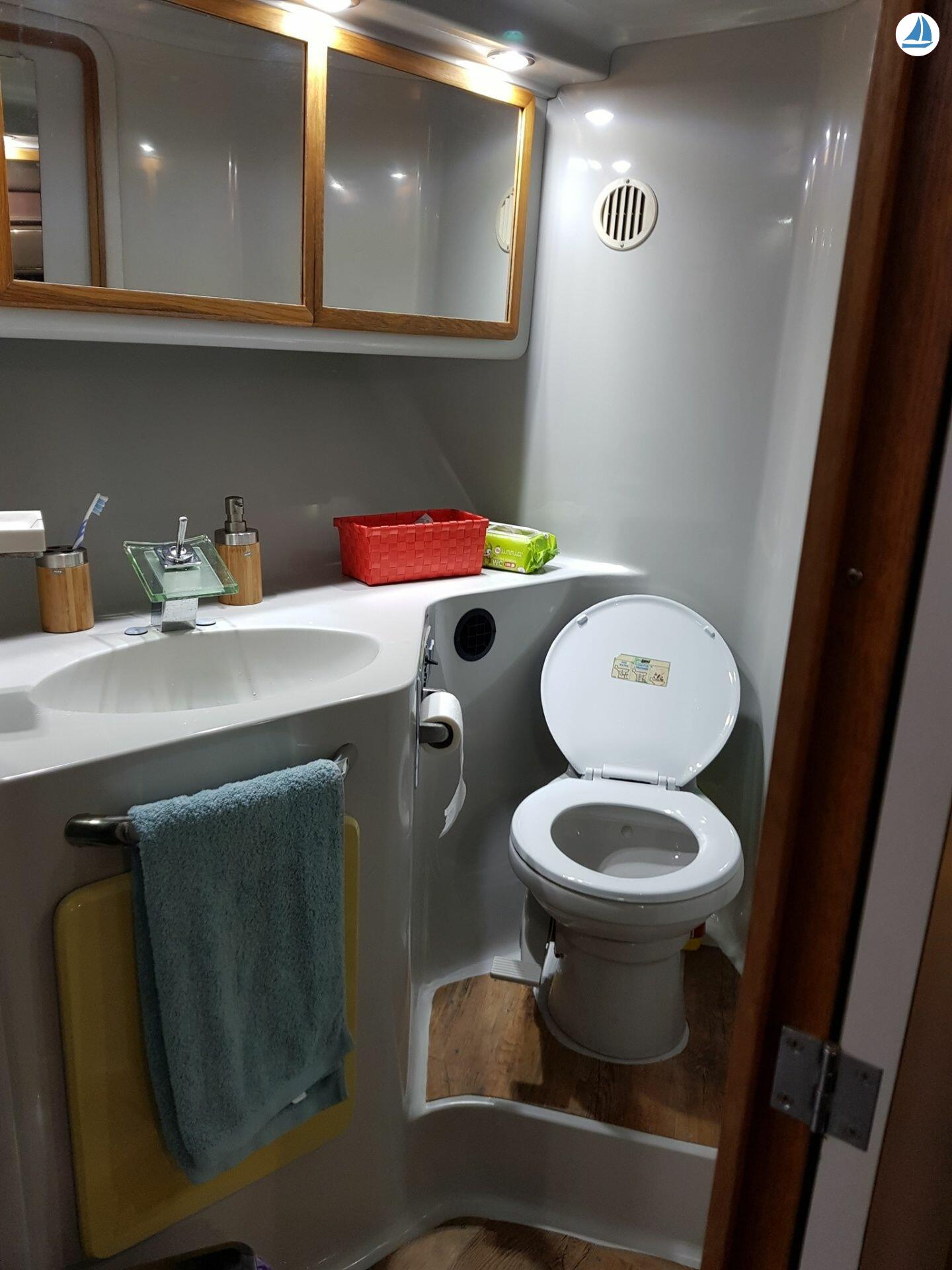 foto Sea Ray 440 Sea ray, dolphin watching 12