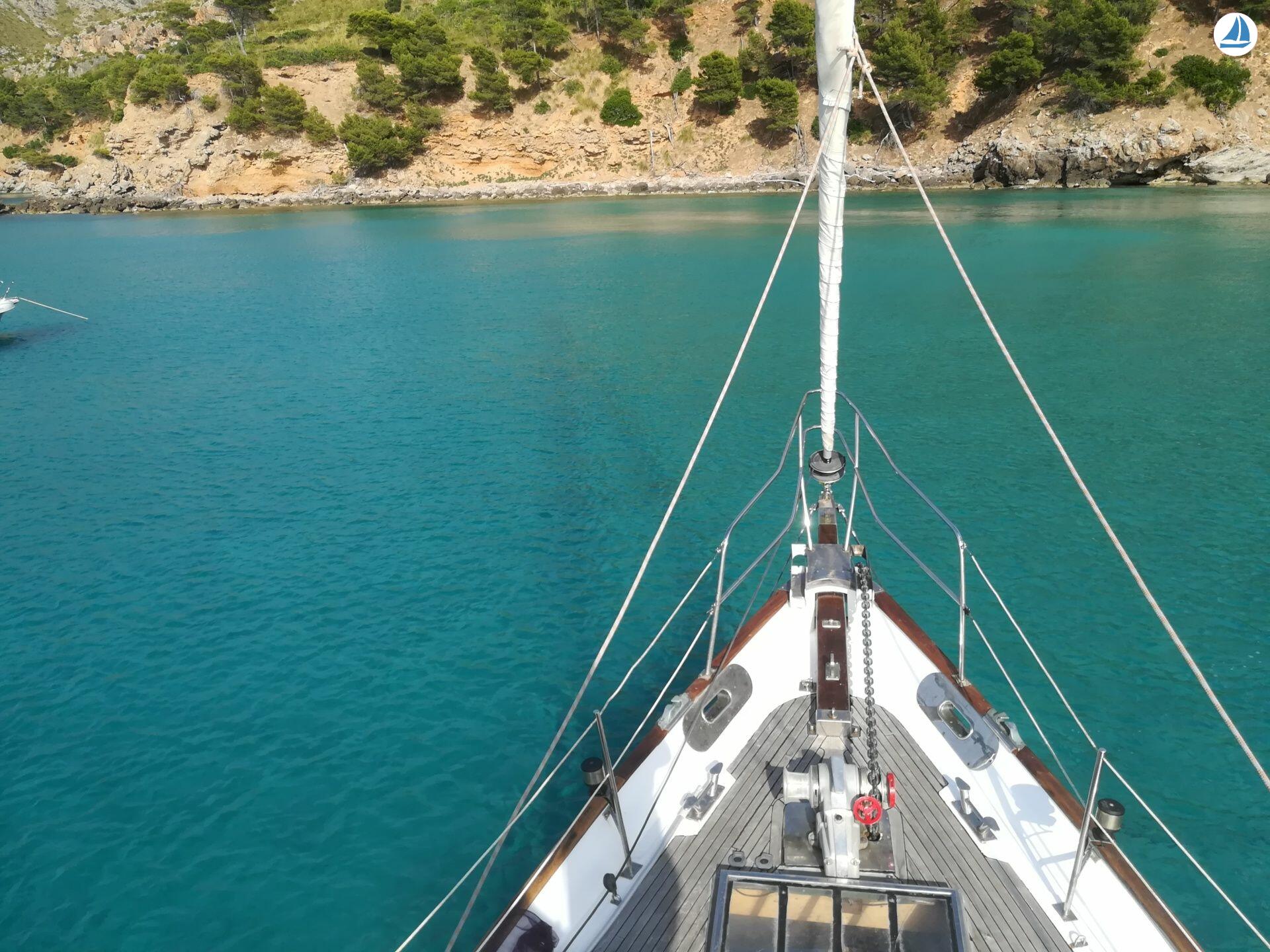 foto Belliure 50 MS 3