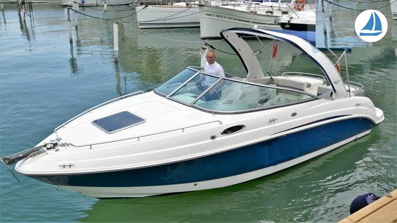 foto Chaparral 255 1
