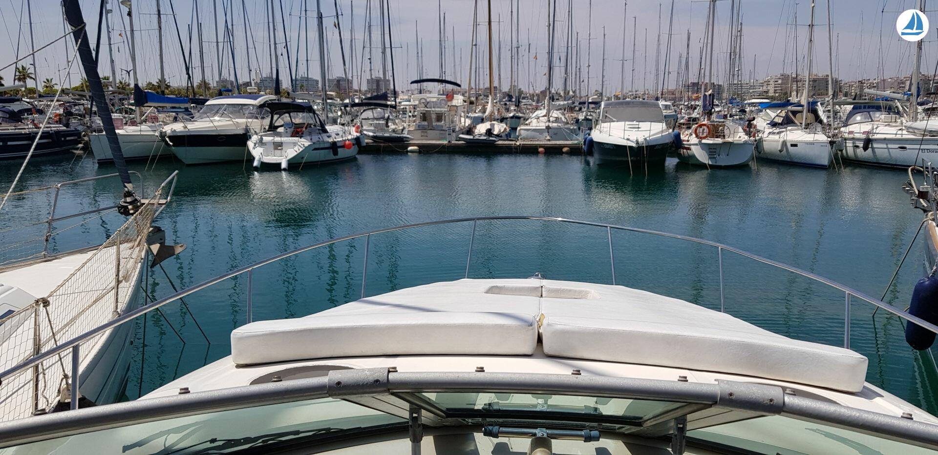 foto Sea Ray Sundancer 355 2