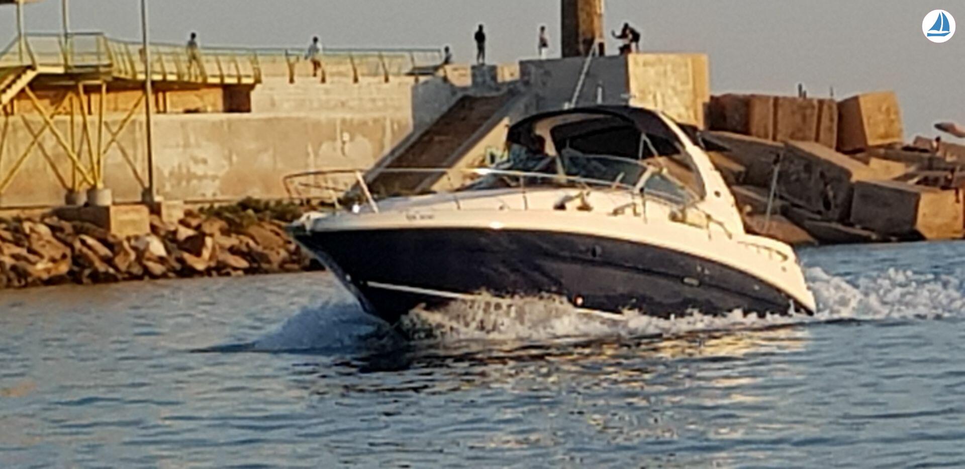 foto Sea Ray Sundancer 355 5