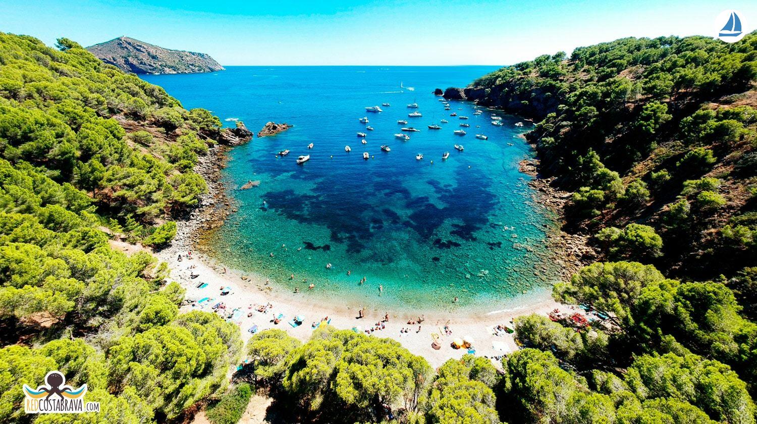 foto Capelli Tempest 775 5