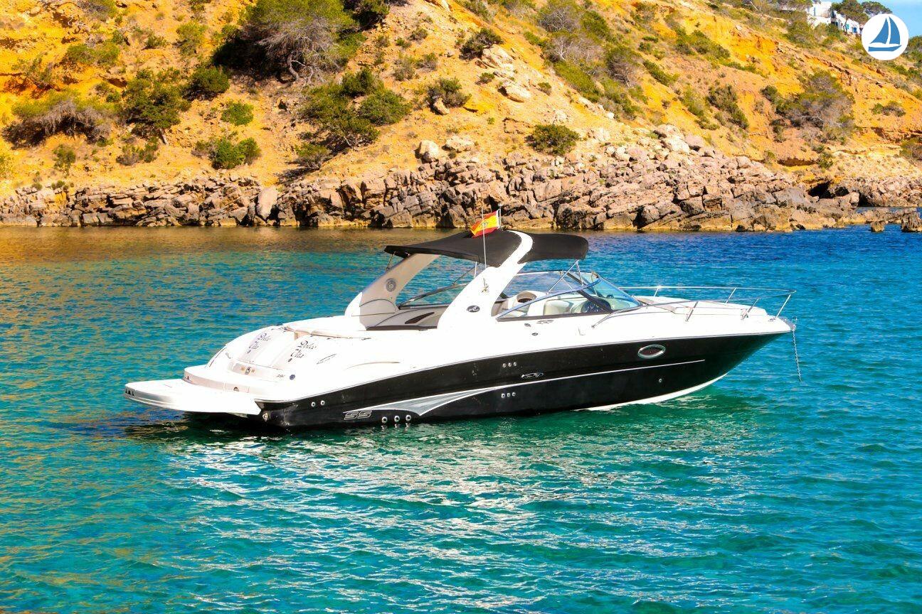 foto Sea Ray 295 SS 1