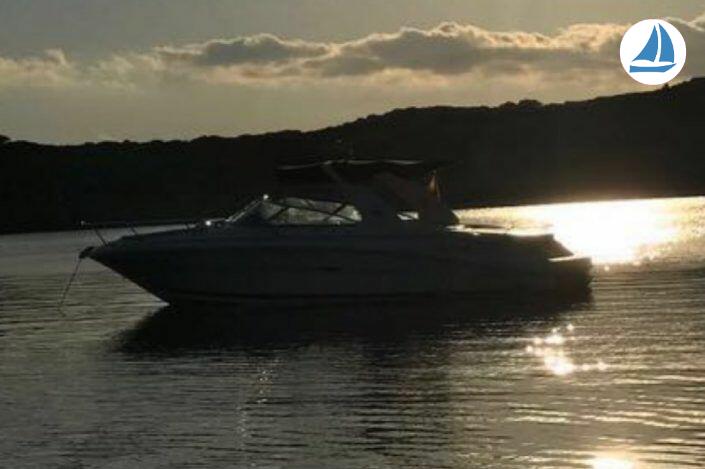 foto Sea Ray 295 SS 11